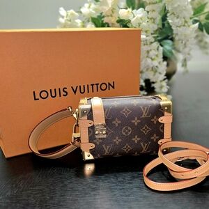 Louis Vuitton Side Trunk Monogram PM - Never Used